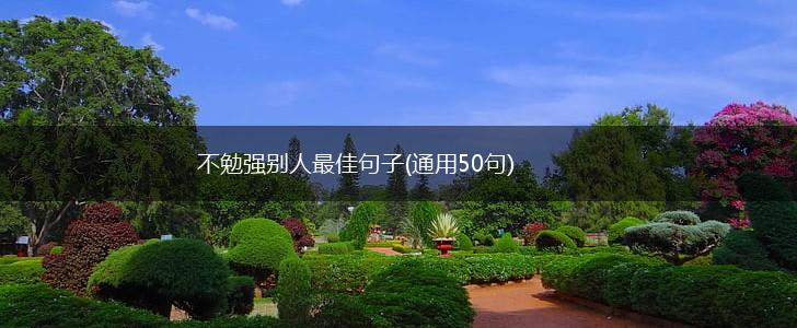 不勉强别人最佳句子(通用50句),第1张