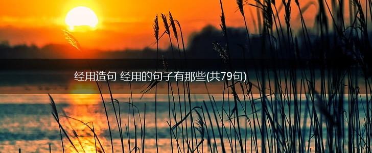 经用造句 经用的句子有那些(共79句),第1张