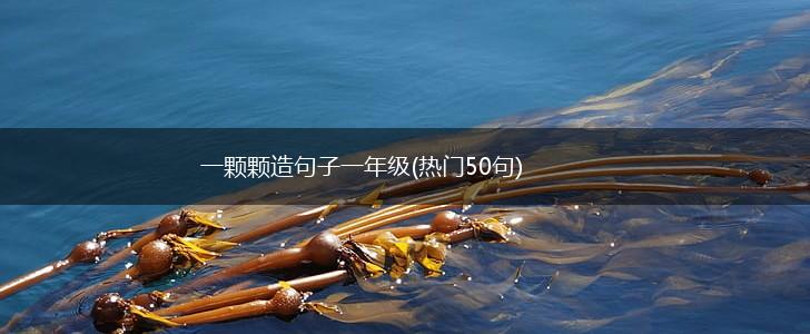 一颗颗造句子一年级(热门50句),第1张