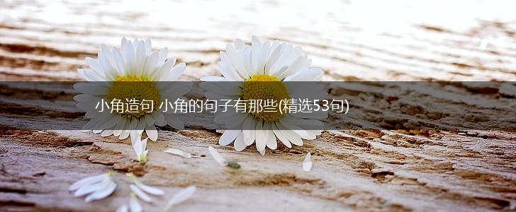 小角造句 小角的句子有那些(精选53句),第1张