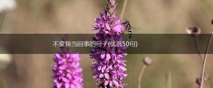 不拿我当回事的句子(优选50句),第1张