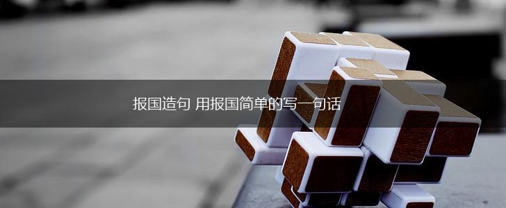 报国造句 用报国简单的写一句话,第1张