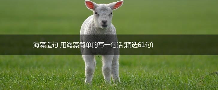 海藻造句 用海藻简单的写一句话(精选61句),第1张