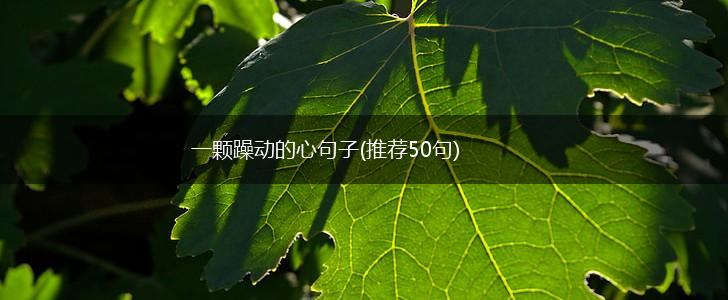 一颗躁动的心句子(推荐50句),第1张