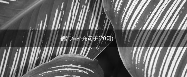 一辆汽车补充句子(20句),第1张