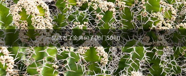 一晃就老了金典句子(热门50句),第1张