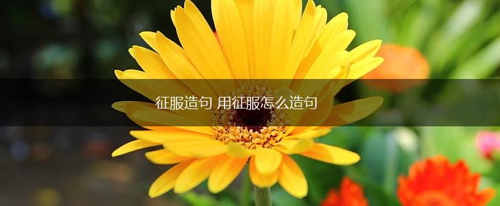 征服造句 用征服怎么造句,第1张