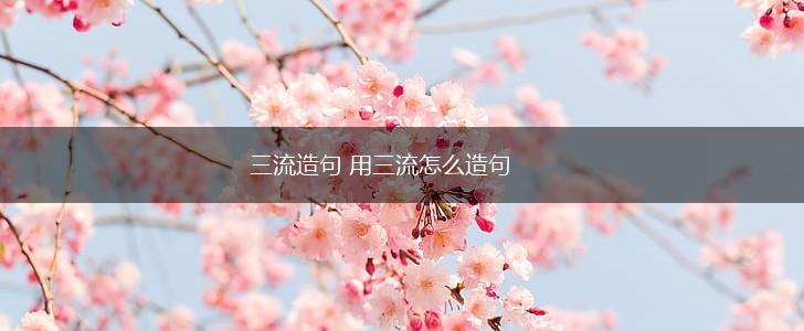 三流造句 用三流怎么造句,第1张
