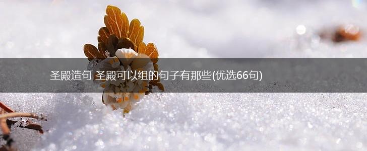圣殿造句 圣殿可以组的句子有那些(优选66句),第1张