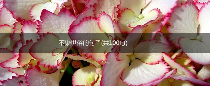 不染世俗的句子(共100句),第1张