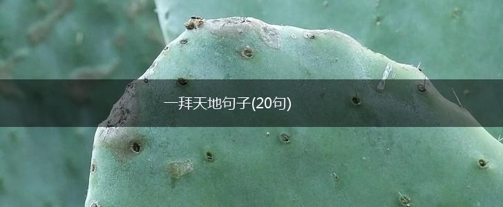 一拜天地句子(20句),第1张