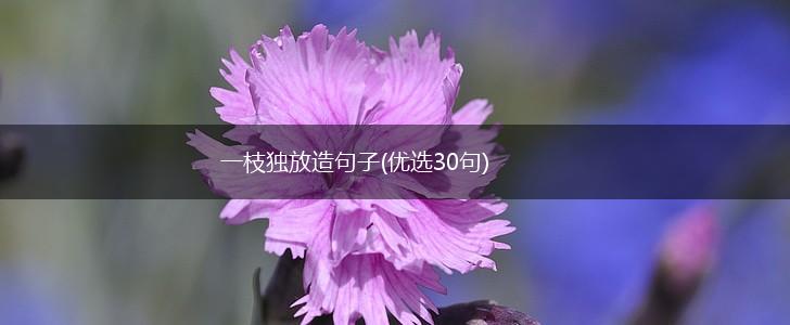 一枝独放造句子(优选30句),第1张