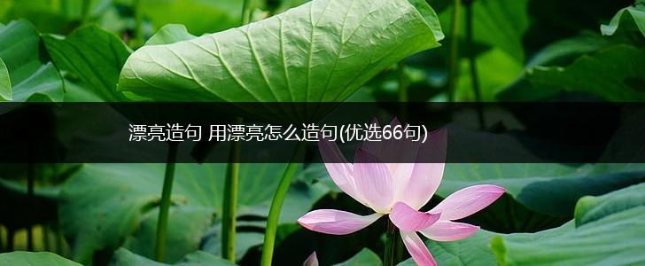 漂亮造句 用漂亮怎么造句(优选66句),第1张