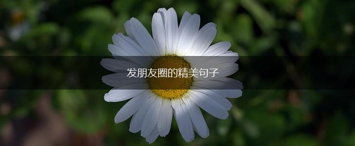 发朋友圈的精美句子,第1张