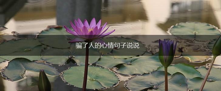 骗了人的心情句子说说,第1张