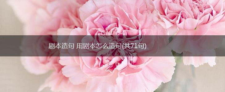 剧本造句 用剧本怎么造句(共71句),第1张