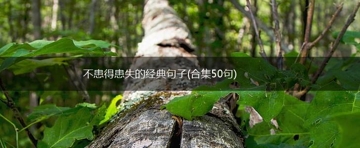 不患得患失的经典句子(合集50句),第1张