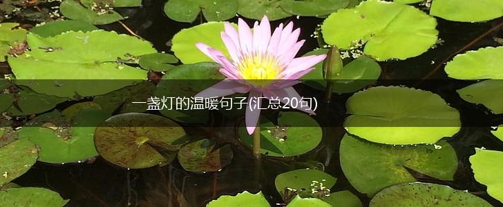 一盏灯的温暖句子(汇总20句),第1张