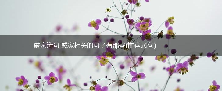 戚家造句 戚家相关的句子有那些(推荐56句),第1张