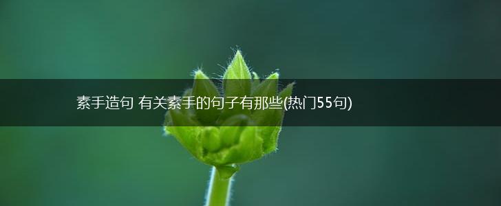 素手造句 有关素手的句子有那些(热门55句),第1张