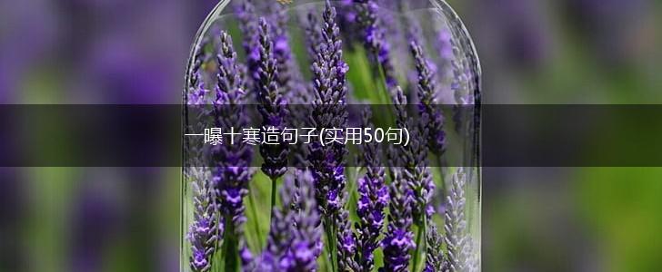一曝十寒造句子(实用50句),第1张