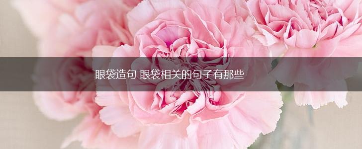眼袋造句 眼袋相关的句子有那些,第1张