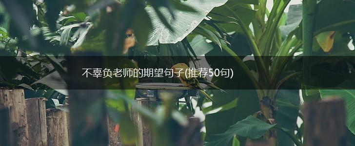 不辜负老师的期望句子(推荐50句),第1张