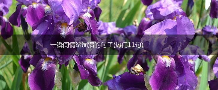 一瞬间情绪崩溃的句子(热门11句),第1张