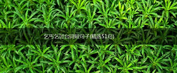 乞丐乞讨台词短句子(精选51句),第1张