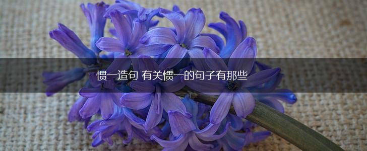 惯一造句 有关惯一的句子有那些,第1张