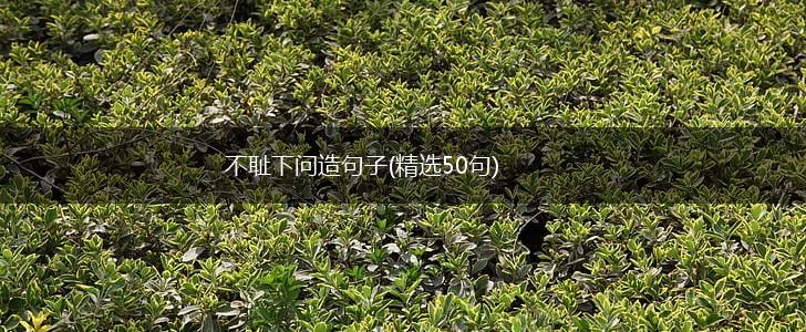 不耻下问造句子(精选50句),第1张