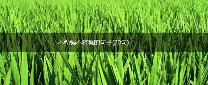 不勉强不将就的句子(20句),第1张