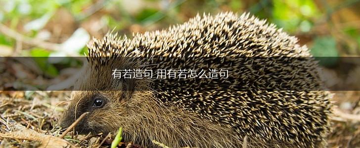 有若造句 用有若怎么造句,第1张