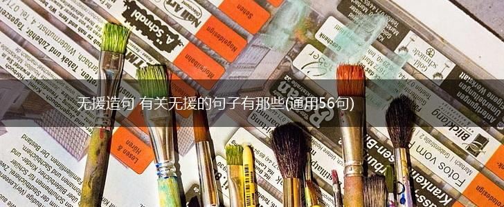无援造句 有关无援的句子有那些(通用56句),第1张