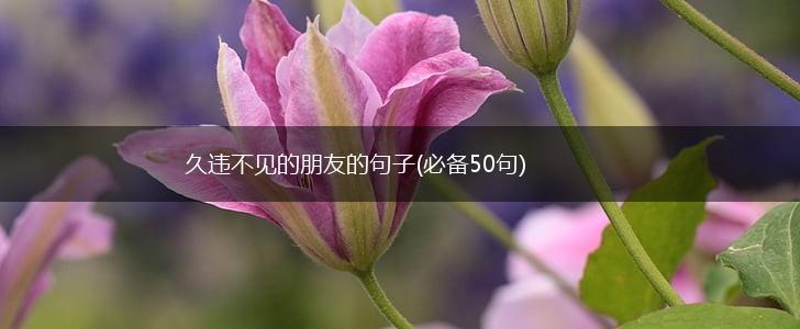 久违不见的朋友的句子(必备50句),第1张