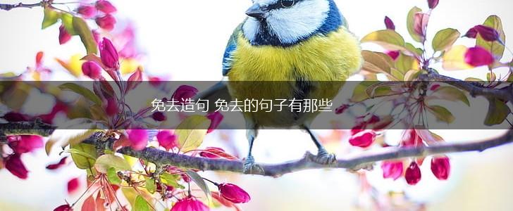 免去造句 免去的句子有那些,第1张