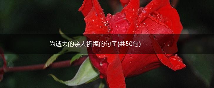 为逝去的亲人祈福的句子(共50句),第1张