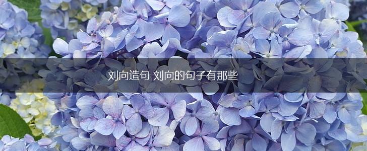 刘向造句 刘向的句子有那些,第1张