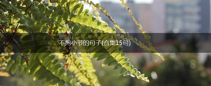 不拘小节的句子(合集15句),第1张