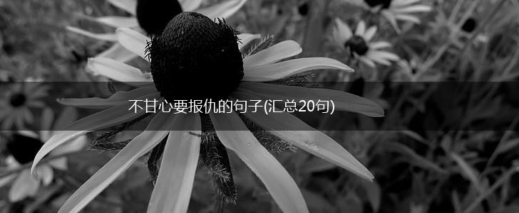 不甘心要报仇的句子(汇总20句),第1张