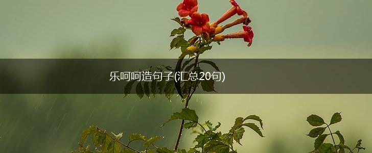 乐呵呵造句子(汇总20句),第1张