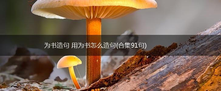为书造句 用为书怎么造句(合集91句),第1张