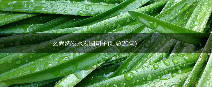 么尚洗发水发圈句子(汇总20句),第1张