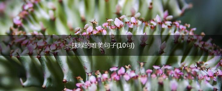 一抹绿的唯美句子(10句),第1张
