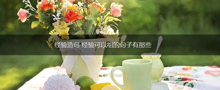 经验造句 经验可以组的句子有那些,第1张