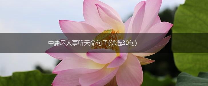 中庸尽人事听天命句子(优选30句),第1张