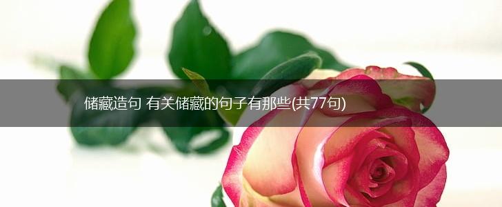 储藏造句 有关储藏的句子有那些(共77句),第1张