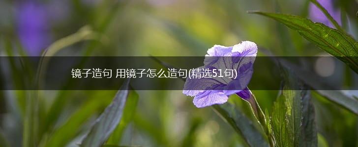 镜子造句 用镜子怎么造句(精选51句),第1张