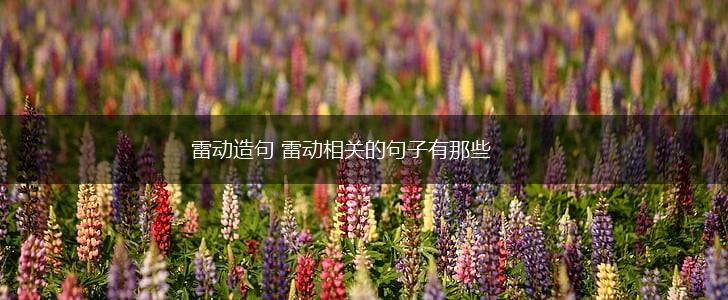 雷动造句 雷动相关的句子有那些,第1张