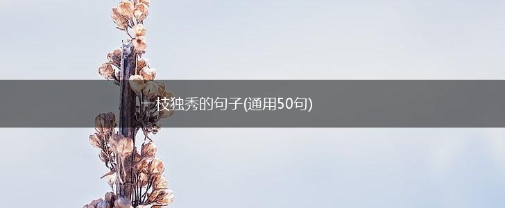 一枝独秀的句子(通用50句),第1张